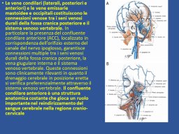 diapositiva10