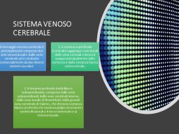 diapositiva5