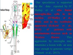 diapositiva7