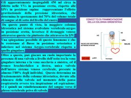 diapositiva10