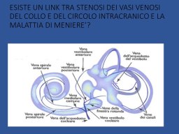 diapositiva11