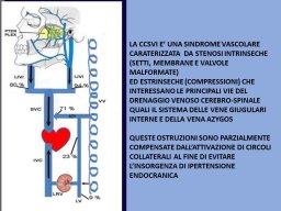 diapositiva20