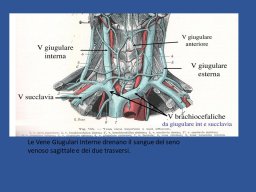 diapositiva3