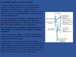 diapositiva5