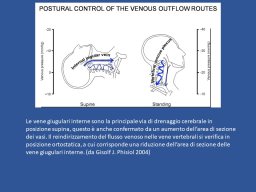 diapositiva6