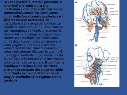 diapositiva9