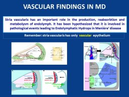 diapositiva11