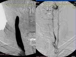 diapositiva31