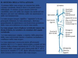 diapositiva5