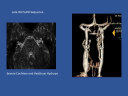 Neurology Wolrd Conference 2025