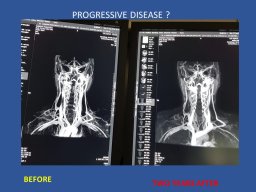 Neurology Wolrd Conference 2025