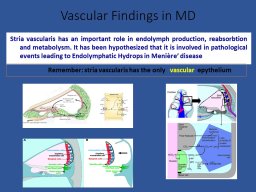 diapositiva11