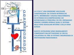 diapositiva6